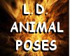 [L.D.]Animal Poses 5