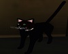 KC~ Spice the Black Cat