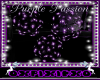 purple passion star ligh