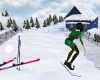 Winter Ski Slope & Cabin