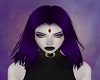 raven DP 1
