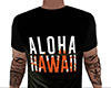 Hawaii Shirt 2 (M)