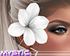 R: White Hair Flower