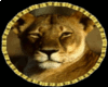 Lioness Rug