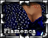 !P Flamenca Noche Real
