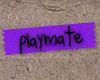 playmate