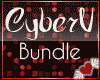 CyberV_Bundle_HP