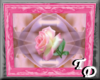 *T Framed Rose2
