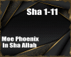 In Sha Allah | Arab-Ger