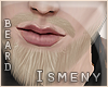 [Is] Hipster Beard Blond