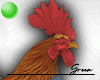 Rooster Pet M
