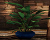 Blue Potted Plant