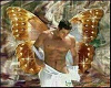 Male Angel Picture