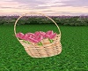 Basket Of Pink Flowers