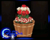 *D*Barrell of Roses