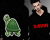 B| Gavin Turtle