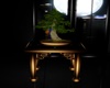 Bonsai Table V2