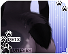 [Pets] Moia | tail v6