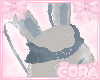 ♡ Bunny Bag ♡