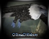 (OD) Bluefoot eagle