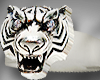 Tiger Silver Middle L