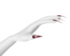 Ruby nails