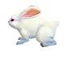 ANIMATED BUNNY RABBIT