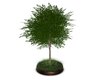Deco Base Tree