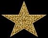 Gold star lights