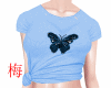 梅 butterfly blue