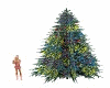 Old Time Christmas Pine