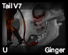 Ginger Tail V7