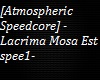 Atmospheric Speedcore