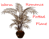 Warm Romance Plant Pot
