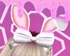 Bunny Ears ♡