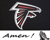 Falcons NFL Jersey (F)