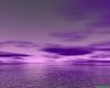 Purple Sunrise Beach