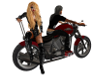  Harley Motorcycle