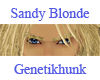 Sandy Blonde Eyebrows