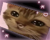 ! snot bubble kitty :D