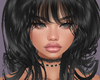 Festival 3 Black