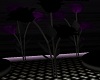 [Tink] Black Rose