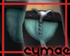 CowgirlRoundup(Chap)TEAL