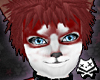 CinnamnApple Husky Fur M