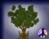 Tree Lady 1 Head-Tree