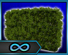 Wall Bushes