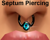 Septum Nose Piercing