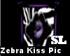 Zebra Kiss Picture