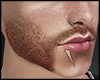 s. Beard (ASTERI) v1 l