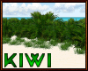 Tropical grass